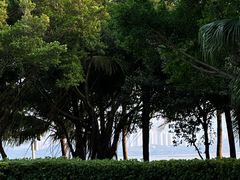 -深圳湾公园(南山区)