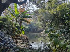 -八大山人梅湖景区