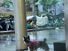 -AMRAP综合体能训练