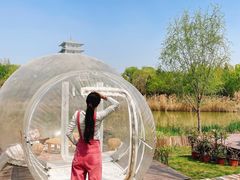 -Supine Bistro溯泮餐厅