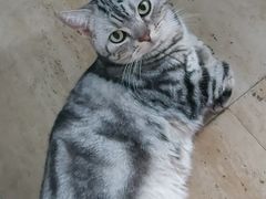 -佳雯宠物医院·皮肤科·内外科(春晓路分院)