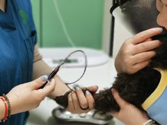 -仁普宠物诊所·中兽医·夜诊·狂犬免疫点(住友昌盛新苑店)