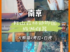 -红山森林动物园