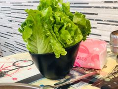 -石记东北风味烤肉(系马桩第二分店)