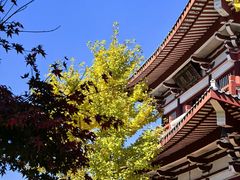 -莆田南少林寺