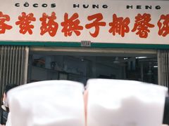 -洪馨椰子