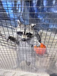 -酷嗒动物文化乐园(cutezoo西溪乐天城店)