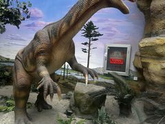 -国家自然博物馆