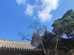 -湛山寺