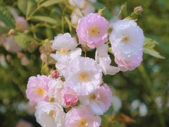 -建设三路(地铁站)