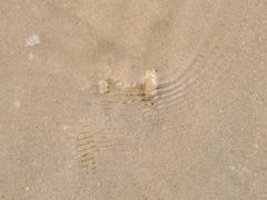 -西秀海滩公园