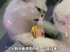 -极木²邸 人与宠物·互动社区