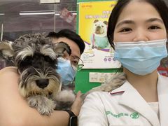 -瑞派动物医院·猫专科·至诚(江南中分院)