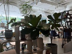 -张一元(望京店)