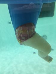 -爱乐婴童水育早教中心·儿童游泳中心(田园商业广场店)