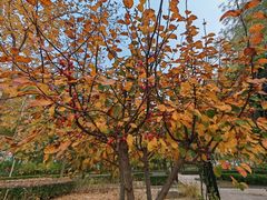 -廊坊文化艺术中心