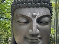 -杭州植物园