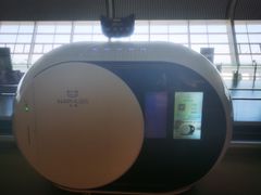 -合肥新桥国际机场-航站楼