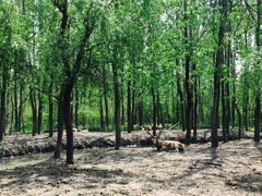 -溱湖国家湿地公园