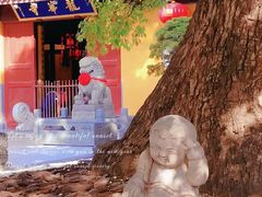 -龙华寺