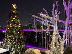 -烛影拾光观景餐厅·创意菜·摄影·小提琴(大唐不夜城店)