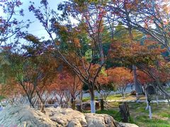 -广州市帽峰山景区