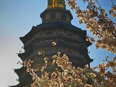 -红梅公园