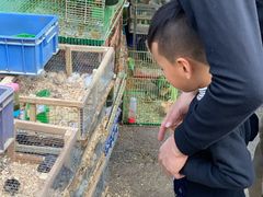 -细村农贸综合市场
