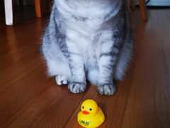 -LINLEE林里·手打柠檬茶(黄浦茂名南路店)