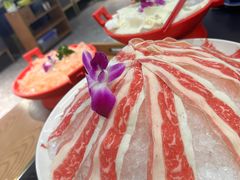 -汉方猪肚鸡火锅(金华之心店)