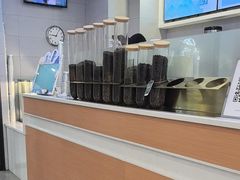 -雾与山茶(大禹城店)