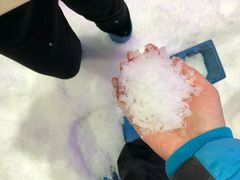 -Mr·Kuma酷么先生雪之乐园