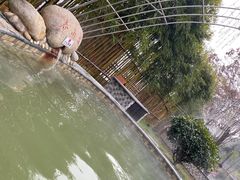 -三江森林温泉度假区