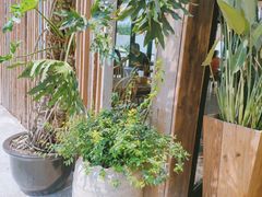 -悦哉·派对·草坪婚礼·围炉煮茶(三圣乡店)