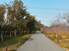 -嘉北郊野公园