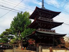 -医王山·飞騨国分寺
