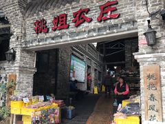 -桃姐农庄老字号(从化温泉店)
