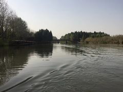 -溱湖国家湿地公园