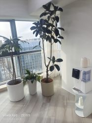 -HEYAN荷妍专业脱毛连锁机构