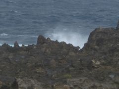 -龙坑生态保护区