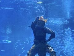 -海合安成都极地海洋公园