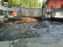 -百脉泉景区