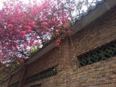 -东风公园
