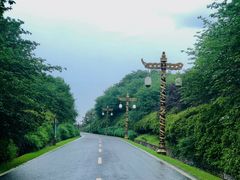 -宜兴龙背山森林公园