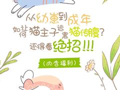 -瑞派天使宠物医院·神经外科·骨科·核磁(洛川中路店)
