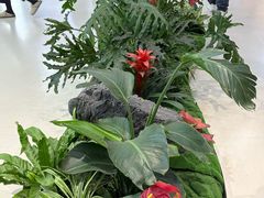 -北京华联购物中心(天通苑店)