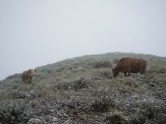 -灵山