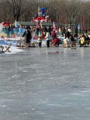 -268童话露营农场·烧烤·团建