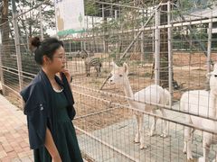 -迪茵湖田家舍生态农场