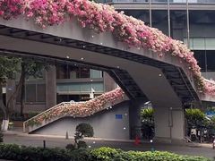 -东风公园